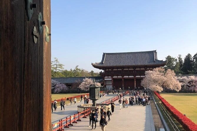 Tokyo 7 Hours Tour Licensed Guide and Vehicle NRT Airport Pick up - Neighborhoods of Contrasts