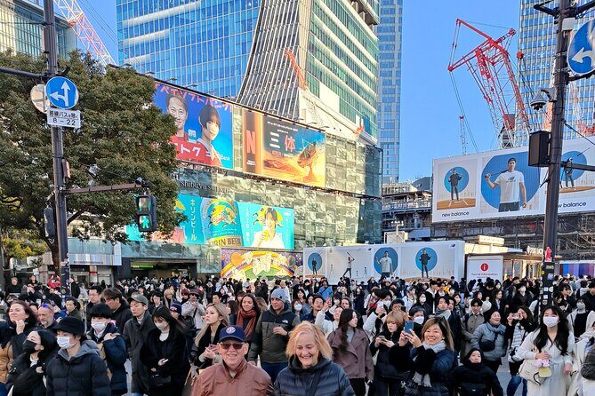 Tokyo 7hr Tour Licensed Guide & Vehicle: NRT Airport Drop Off - Who Is This Tour Best For?