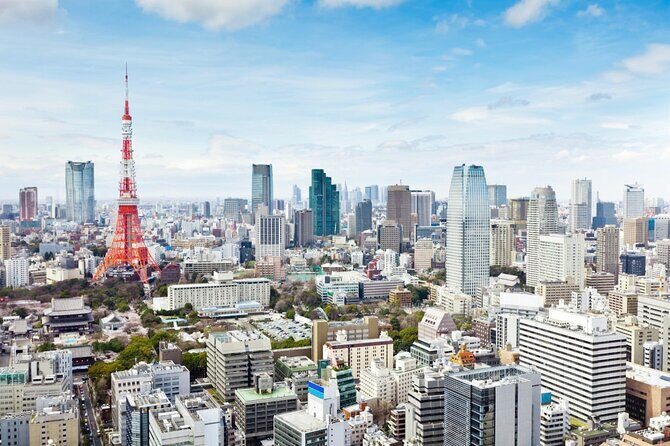 Tokyo 8hr Private Tour with Government-Licensed Guide - Final Thoughts