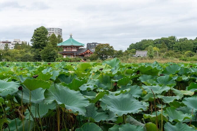 Tokyo: A Downtown Tour through Kanda, Ueno, and Asakusa - Authenticity and Cultural Immersion