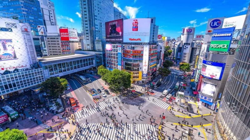 Tokyo Adventure Tour With English Guide - The Sum Up: Is It Worth It?