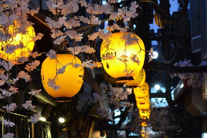 Tokyo After Dark Shinjuku Tour of Tradition and Pop Culture - Who Should Consider This Tour