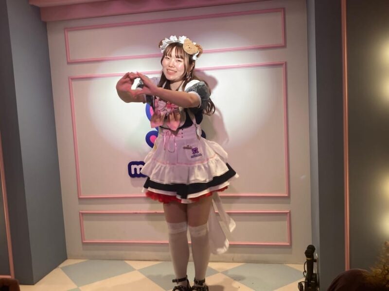 Tokyo Akihabara, Anime, Manga, Video Games & Maid Cafe Tour - Who Will Love This Tour?
