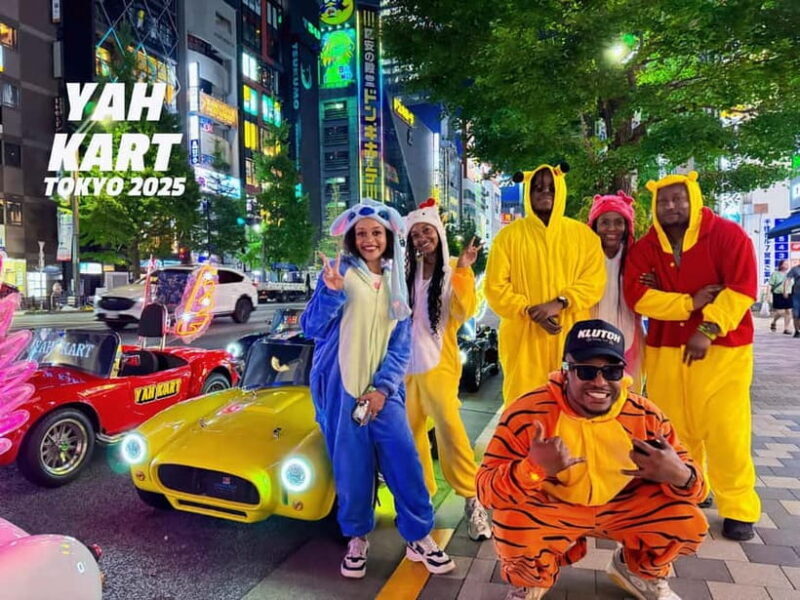 Tokyo: Akihabara/Asakusa Go-Karting Tour (including guide) - Introduction