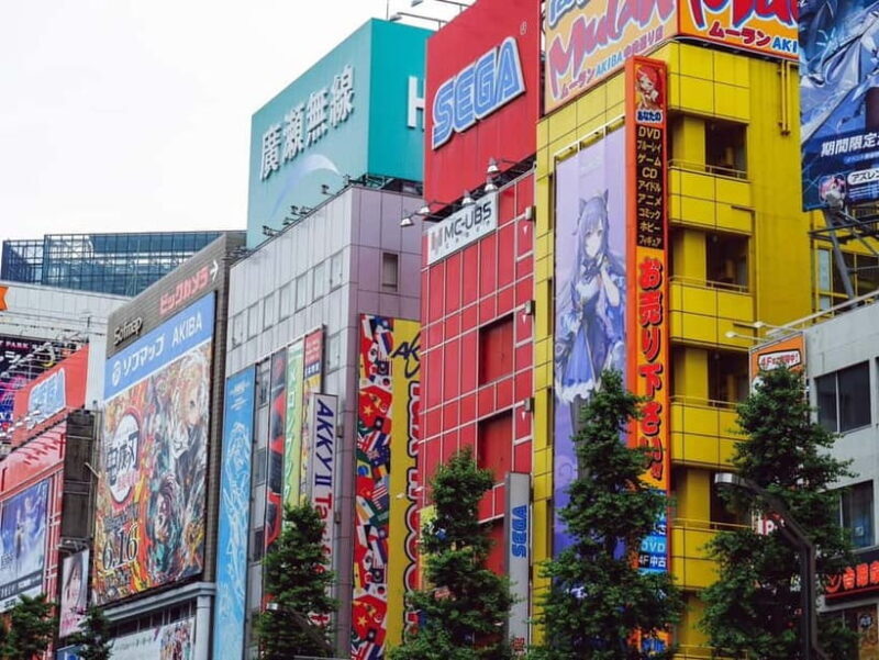 Tokyo: Akihabara Game Tour with Gachapon & Princess Café - A Detailed Look at the Tour Experience