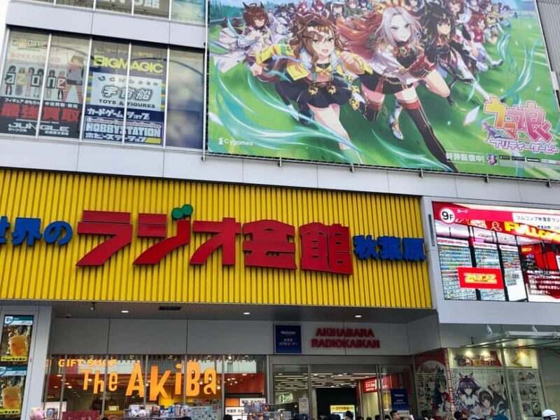 Tokyo: Akihabara Otaku Private Custom Tour - Exploring the Heart of Otaku Culture