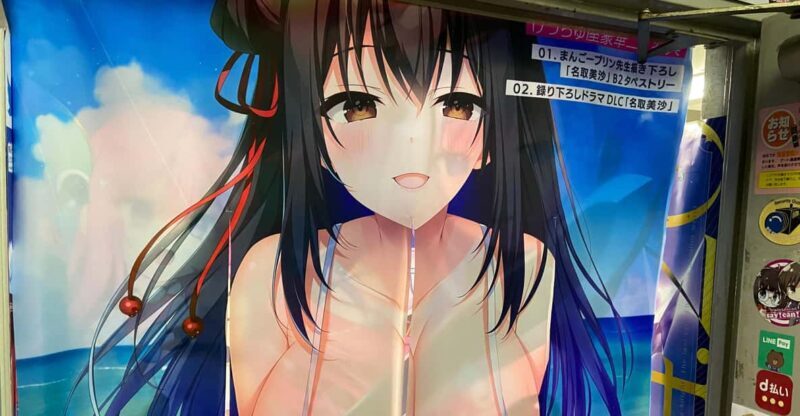 Tokyo: Akihabara Private Hentai Tour - An In-Depth Look at the Tour Experience