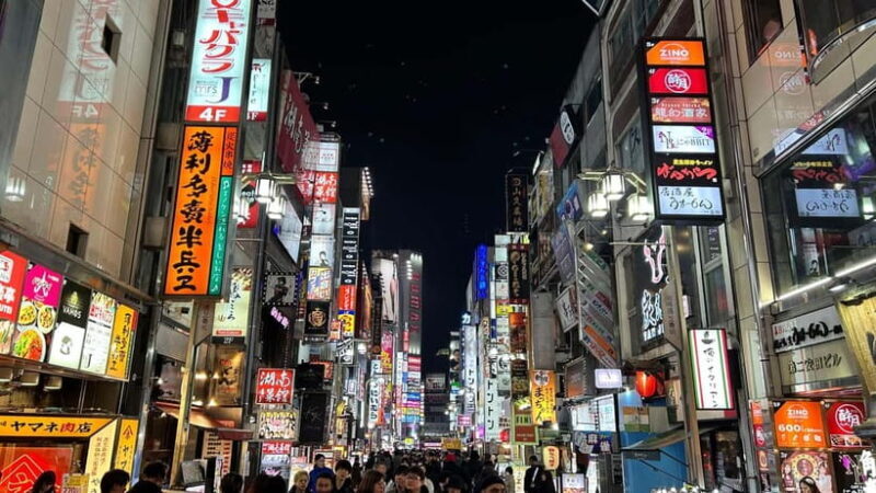 Tokyo: Akihabara, Shibuya, Karaoke & City Lights Night Tour - Practical Tips for Participants