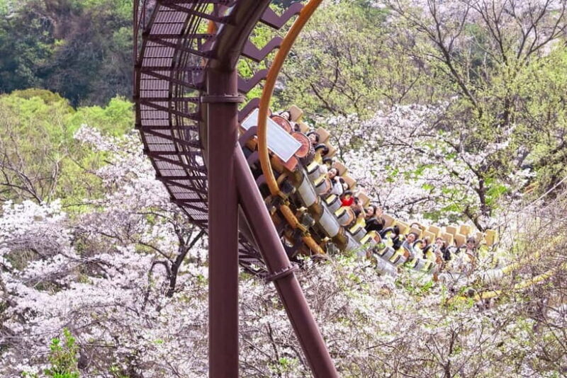 Tokyo: Amusement Park Yomiuri Land Entry Ticket - An Honest Look at Tokyo’s Yomiuriland Amusement Park