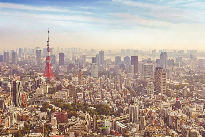 Tokyo And Kanto Private Customized Day Tour - A Closer Look at the Tour Experience