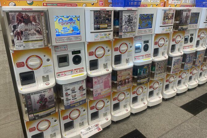 Tokyo Anime and Game Shopping Tour in Ikebukuro - The Value of a Guided Otaku Experience