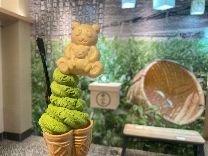 Tokyo: Anywhere you like! Tokyo Customized Tour in 5 hours - Who Will Benefit Most?