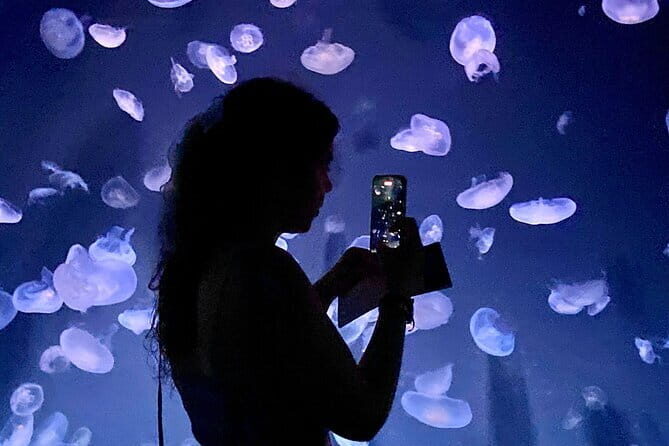 Tokyo, Aquarium Backyard Tour and View Observatory in Ikebukuro - Starting Point: Sunshine 60 and the Backyard Tour