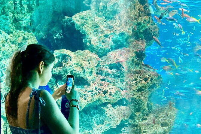 Tokyo, Aquarium Backyard Tour and View Observatory in Ikebukuro - Free Exploration at the Aquarium