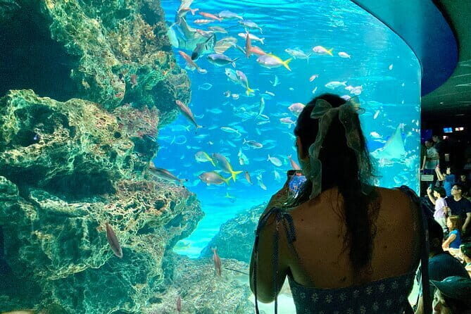 Tokyo, Aquarium Backyard Tour and View Observatory in Ikebukuro - Final Highlights: Sunshine’s Shopping and Entertainment