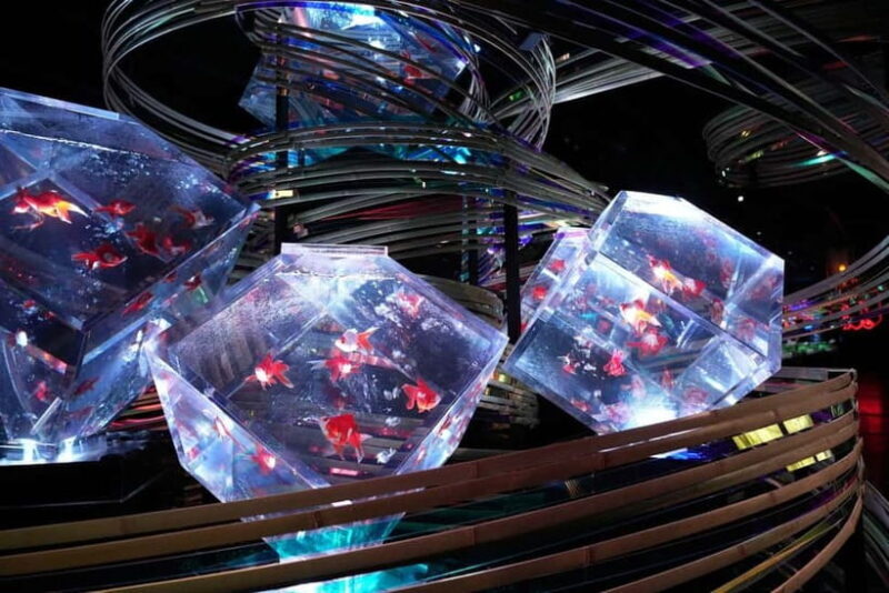 Tokyo: Art Aquarium Museum GINZA Entry Ticket - Key Points