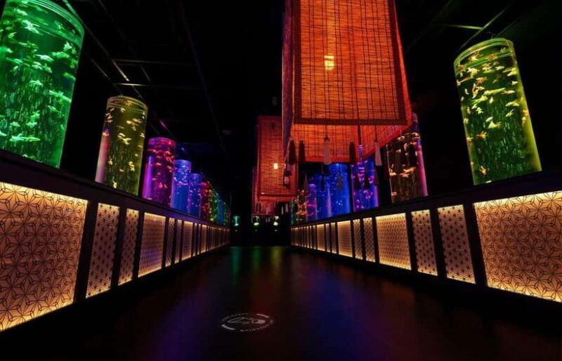 Tokyo: Art Aquarium Museum GINZA Entry Ticket - Photo Opportunities and Visitor Engagement