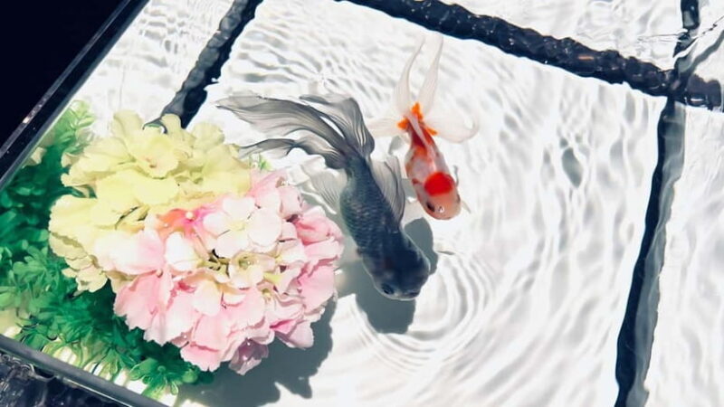Tokyo: Art Aquarium Museum GINZA Entry Ticket - Duration and Visiting Tips