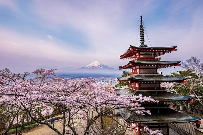 Tokyo: Asakusa Guided Walking Tour Visiting Sensoji Temple - Who Will Enjoy This Tour?
