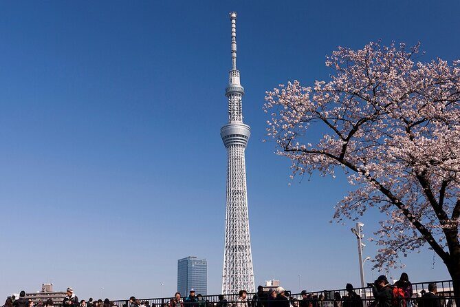 Tokyo Asakusa Half Day Walking Tour with Local Guide - Final Thoughts