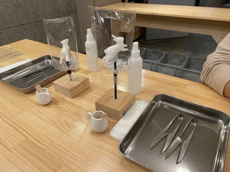 Tokyo: Asakusa Traditional Candy Sculpture making experience - Who Should Consider This Tour?