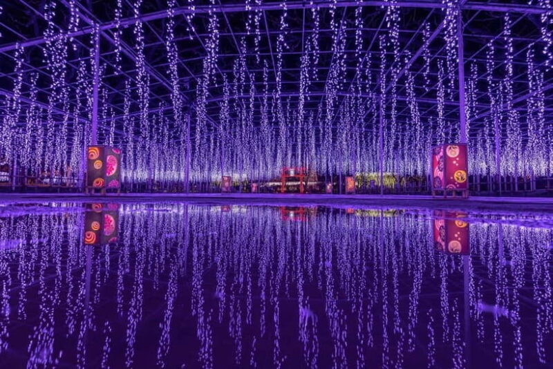 Tokyo: Ashikaga Flower Park with Entry Ticket - Final Thoughts