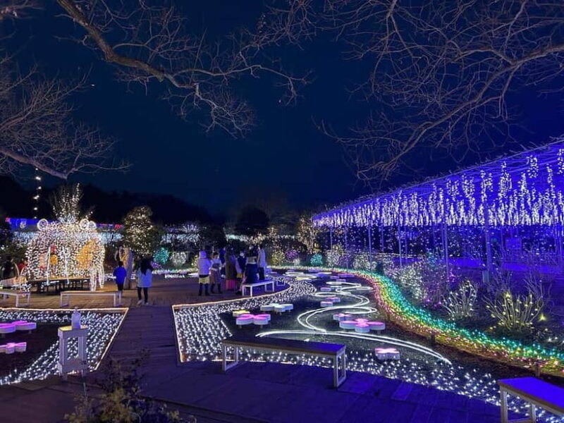 Tokyo: Ashikaga Flower Park with Entry Ticket - Final Thoughts: Is This Tour Worth It?