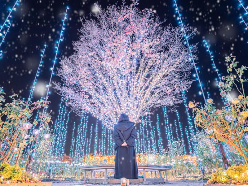 Tokyo: Ashikaga Flower Park with Entry Ticket - FAQ