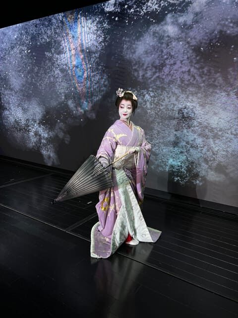 Tokyo: Authentic Japanese Dance Show ticket by professionals - Introduction