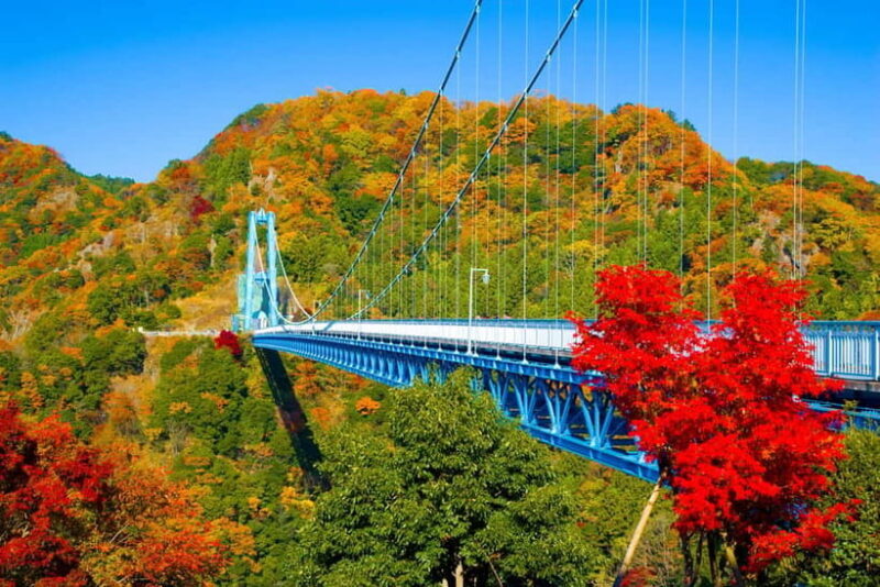 Tokyo: Autumn Hitachi Seaside Park, Fukuroda Falls & Ryujin - Who Will Love This Tour?