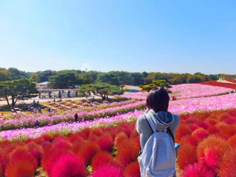 Tokyo: Autumn Hitachi Seaside Park, Fukuroda Falls & Ryujin - Key Points