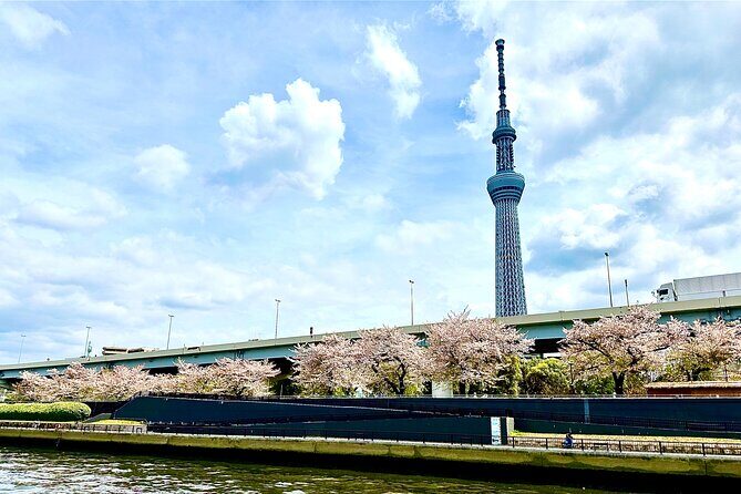 Tokyo Bay Yakatabune Cruise with Traditional JapaneseShow Drinks - Authenticity and Value: What It All Means for You