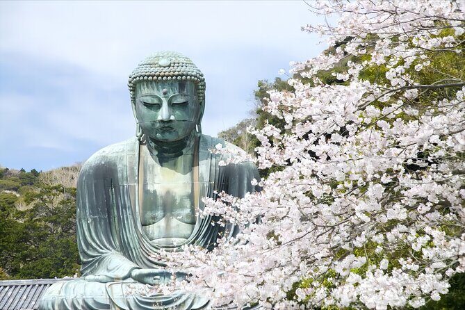 Tokyo: Bus Tour to Kamakura Great Buddha & Enoshima with Pickup - Who Will Love This Tour?