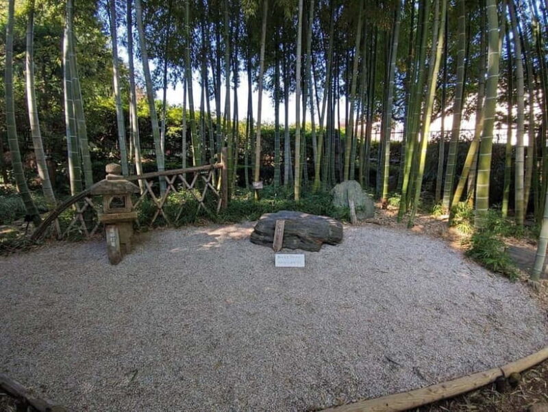 Tokyo: Calligraphy Class and Walking Tour - Who Will Love This Tour?