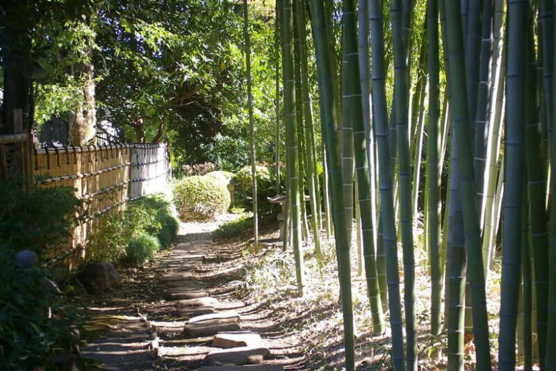 Tokyo: Calligraphy Class and Walking Tour - Final Thoughts
