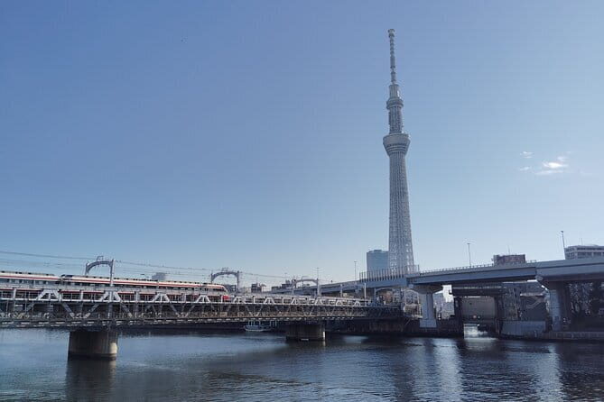 Tokyo Castle & Imperial Palace , Historical Walking Tour - What the Reviews Say