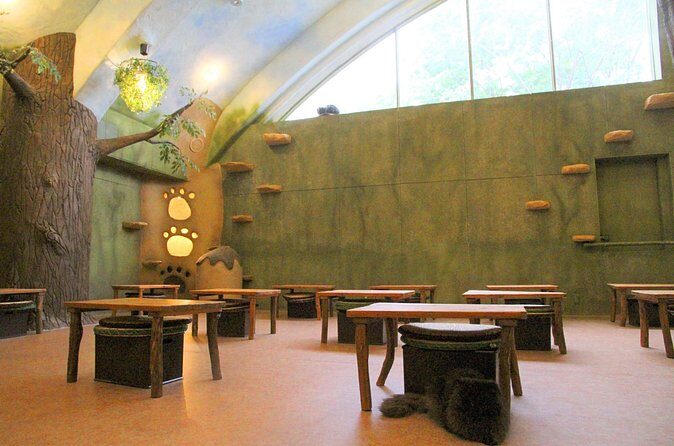 Tokyo Cat Café in Kichijoji - Forest Themed - Final Thoughts