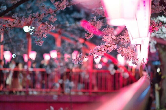 Tokyo Cherry Blossom Half Day Walking Tour with a Local Guide - Exploring the Itinerary in Detail