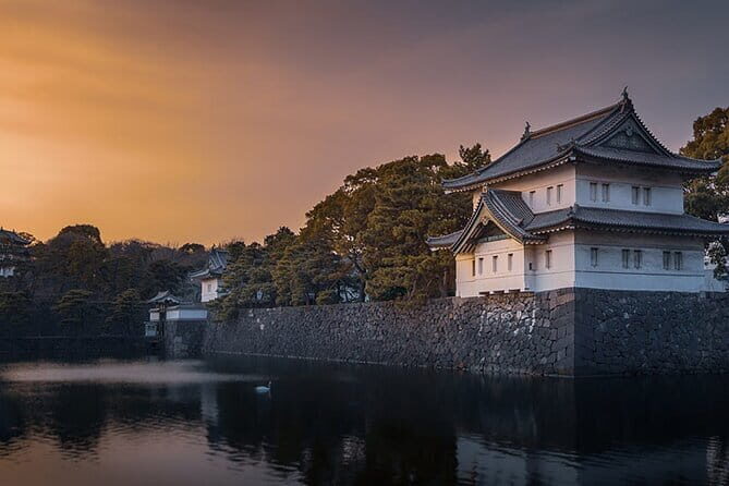 Tokyo Cherry Blossom Half Day Walking Tour with a Local Guide - Practical Aspects