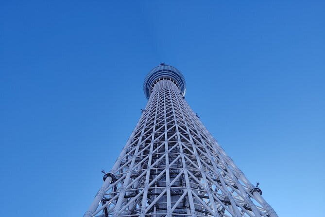 Tokyo Cherry Blossom Half Day Walking Tour with a Local Guide - The Sum Up