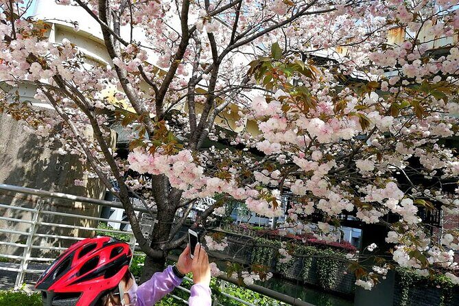 Tokyo Cherry Blossoms blooming spots E-bike Tour, 3hrs - Frequently Asked Questions
