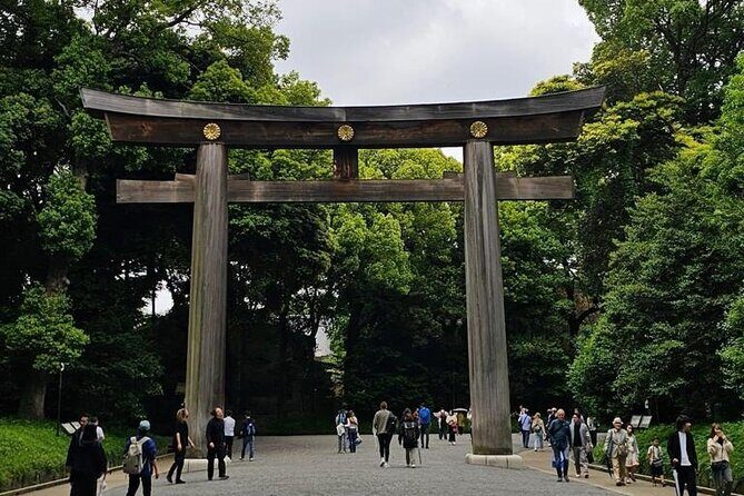 Tokyo City Attractive One Day Tour - A Deep Dive into the Tour Itinerary