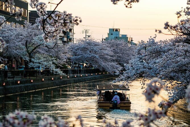 Tokyo City Private Tour With Hotel Pickup - Key Points