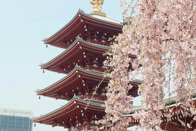 Tokyo City Private Tour With Hotel Pickup - The Itinerary: What You Can Expect from Dawn to Dusk