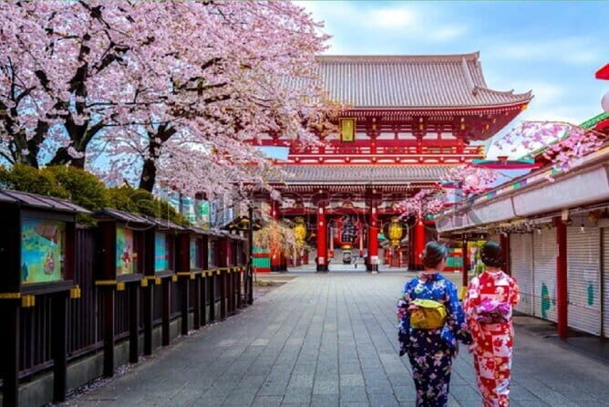 Tokyo City Tour by Private Car & English guide - Starting at Senso-ji Temple: Old Tokyo at Its Finest