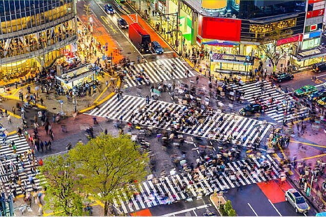 Tokyo City Tour by Private Car & English guide - Tsukiji Fish Market: A Foodie’s Dream
