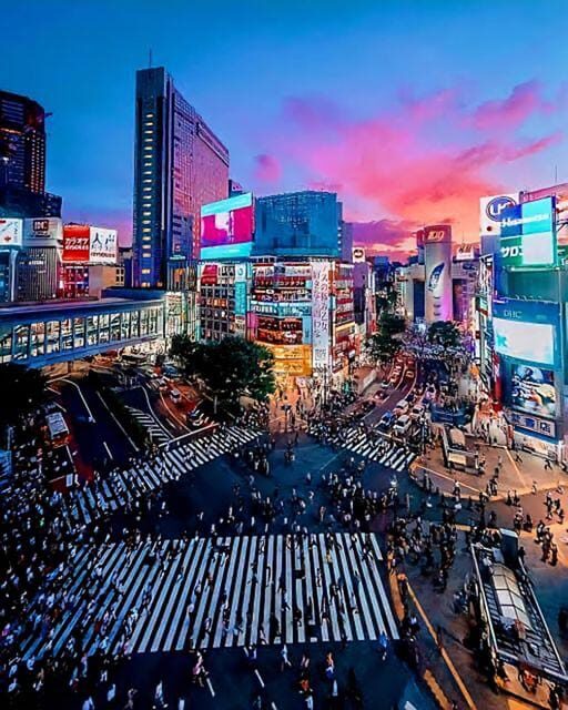 Tokyo: City Tour Tokyo With Driver - Practical Details and Considerations