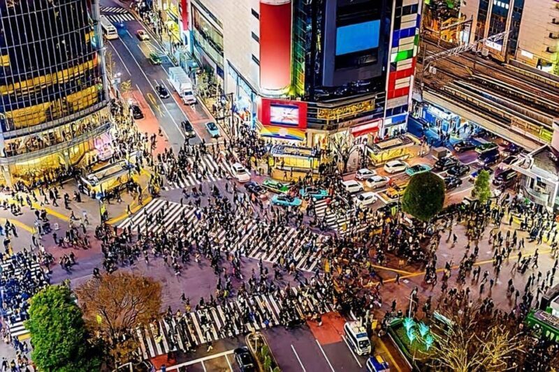 Tokyo: City Tour Tokyo With Driver - Who Would Love This Tour?