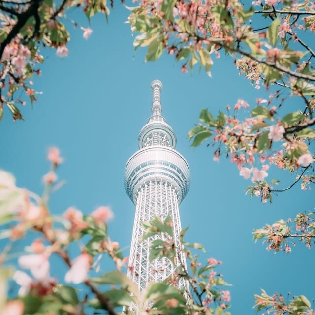 Tokyo: City Tour Tokyo With Driver - FAQ