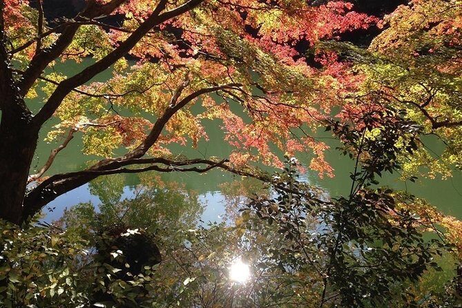 Tokyo Countryside Exploration Private Tour - Introduction